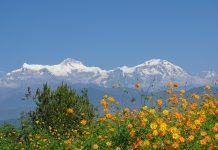 El Himalaya vuelve verse desde algunos puntos de la India por primera vez en 30 años himalayas, annapurna, nepal