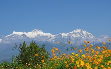 El Himalaya vuelve verse desde algunos puntos de la India por primera vez en 30 años himalayas, annapurna, nepal