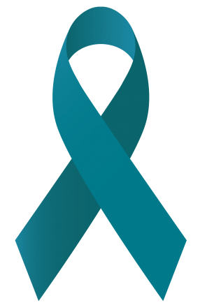 lazo solidario 3